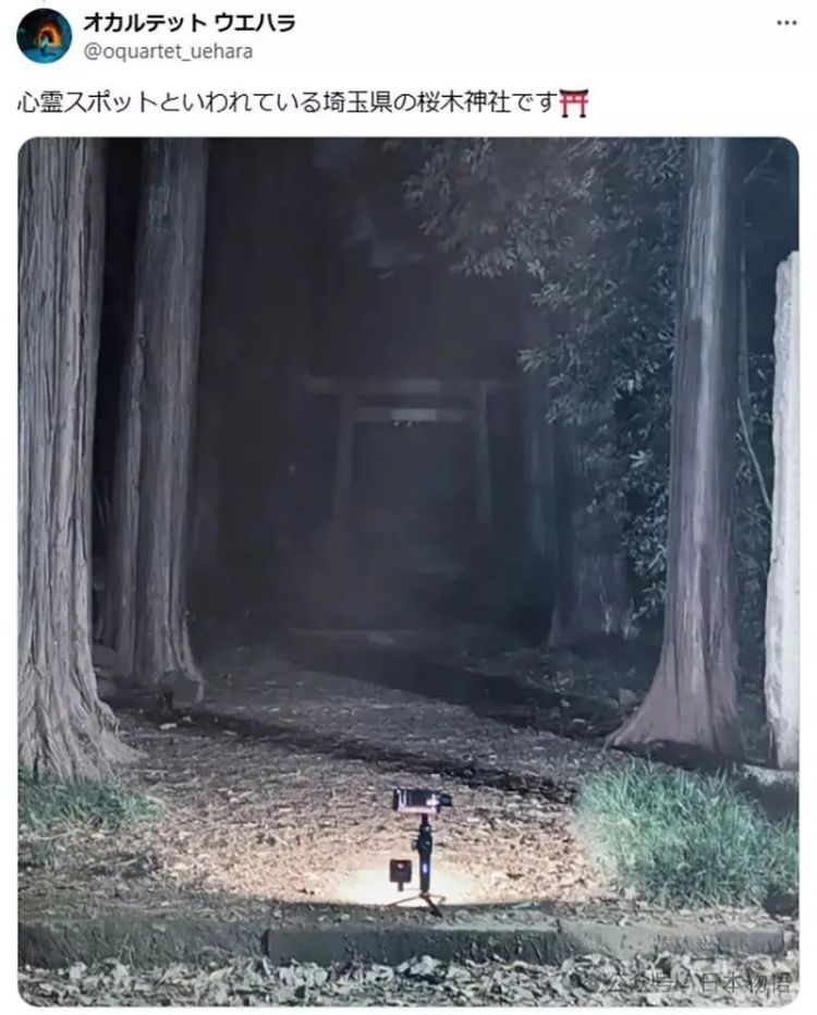 日本网友分享令人毛骨悚然鸟居的照片，感觉一旦走进去就回不来了