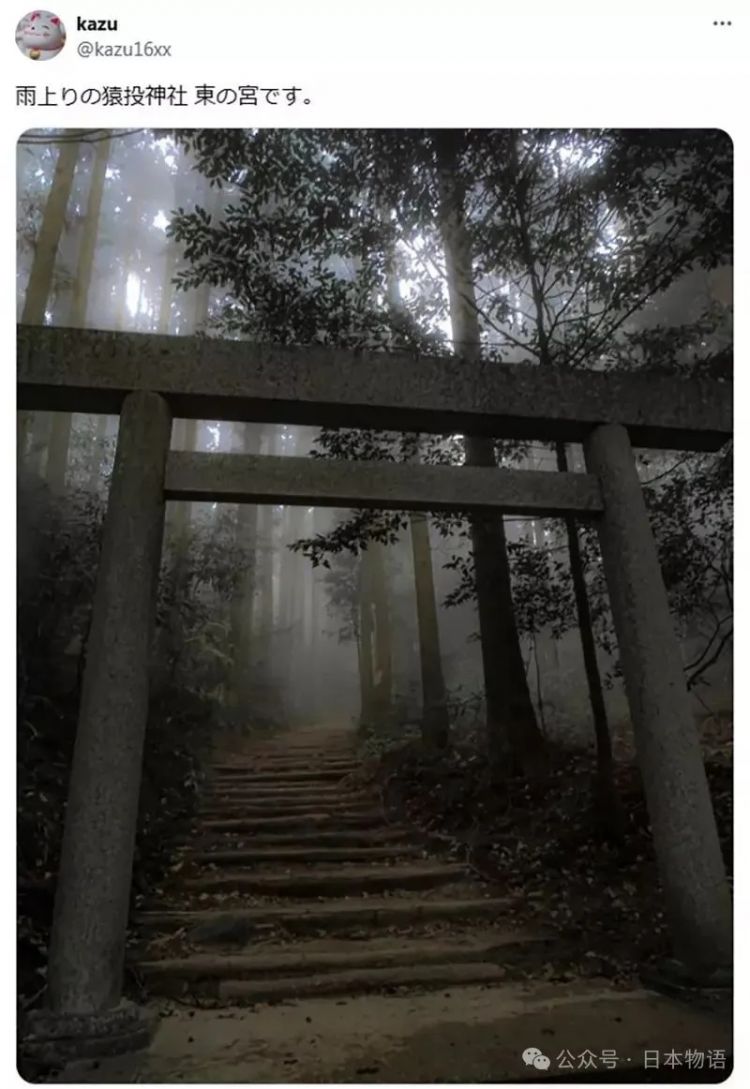 日本网友分享令人毛骨悚然鸟居的照片，感觉一旦走进去就回不来了