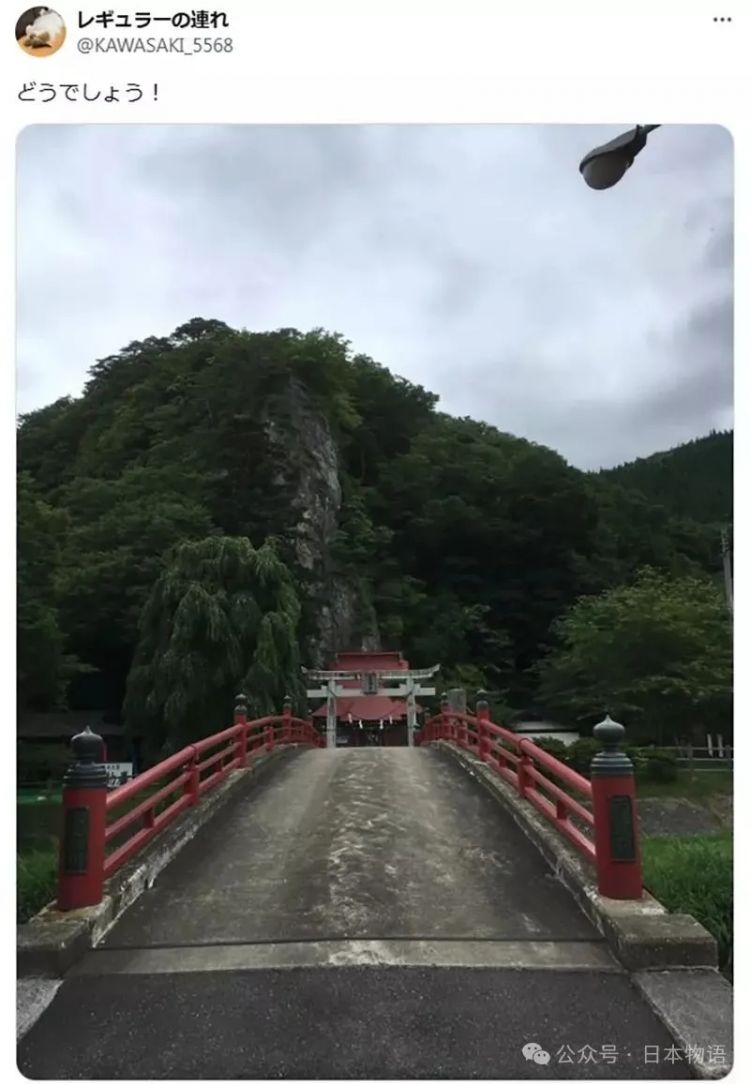 日本网友分享令人毛骨悚然鸟居的照片，感觉一旦走进去就回不来了