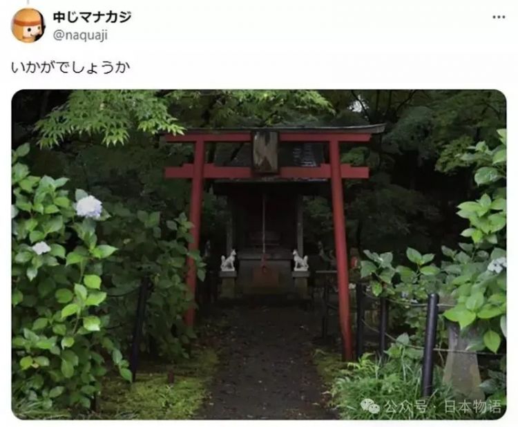 日本网友分享令人毛骨悚然鸟居的照片，感觉一旦走进去就回不来了