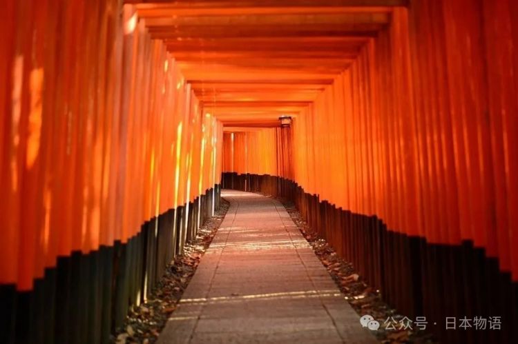 日本网友分享令人毛骨悚然鸟居的照片，感觉一旦走进去就回不来了