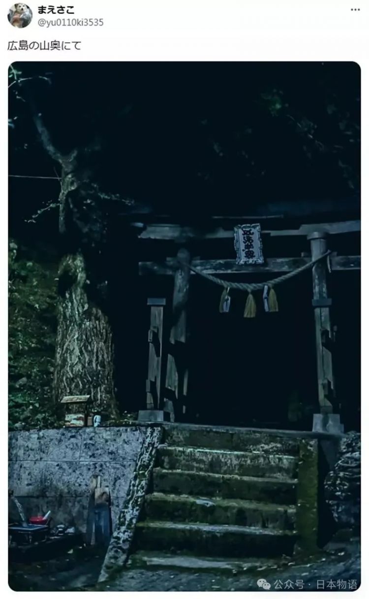 日本网友分享令人毛骨悚然鸟居的照片，感觉一旦走进去就回不来了