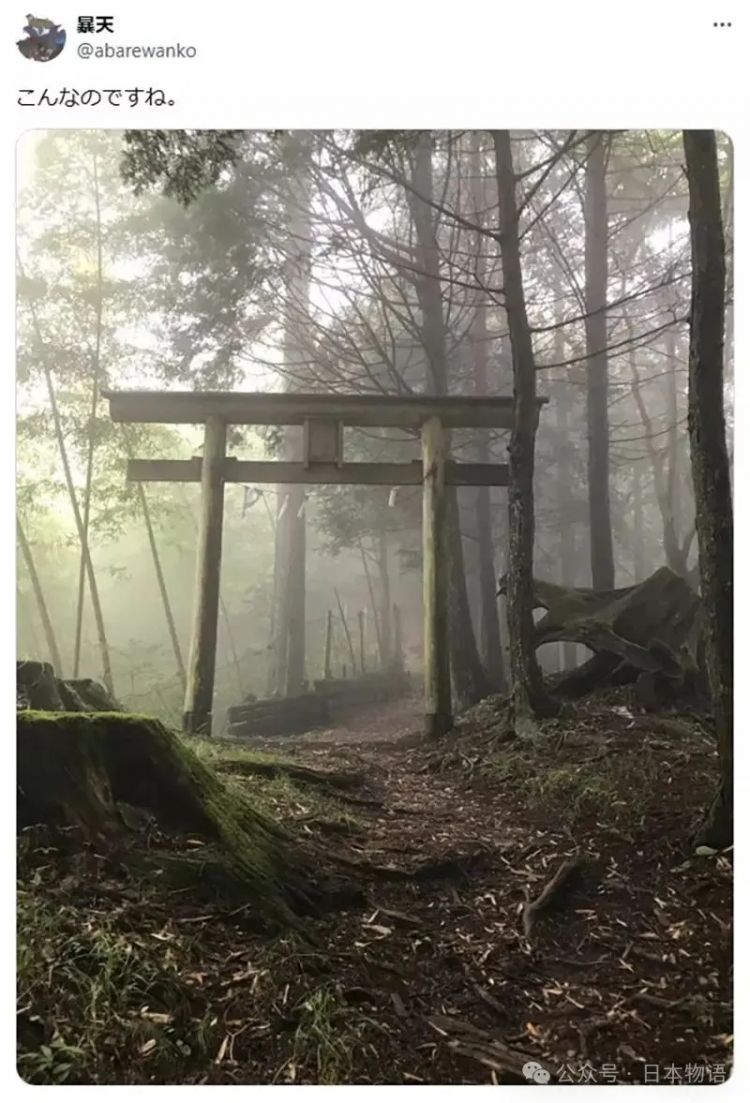 日本网友分享令人毛骨悚然鸟居的照片，感觉一旦走进去就回不来了