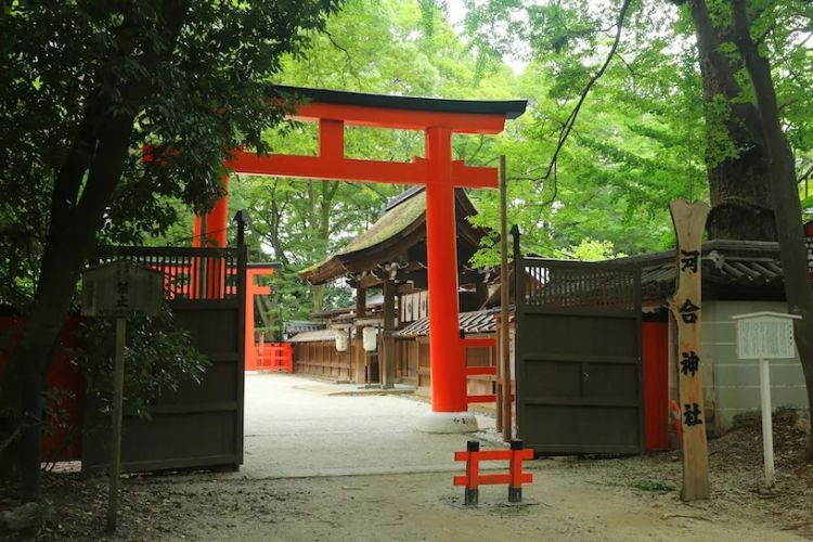 竟然有掌管头发的神!日本神社负责的业务还是太广了!!! 竟然有掌管头发的神!日本神社负责的业务还是太广了!!!