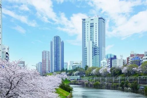 日本的清北复交有哪些？盘点那些日本名校