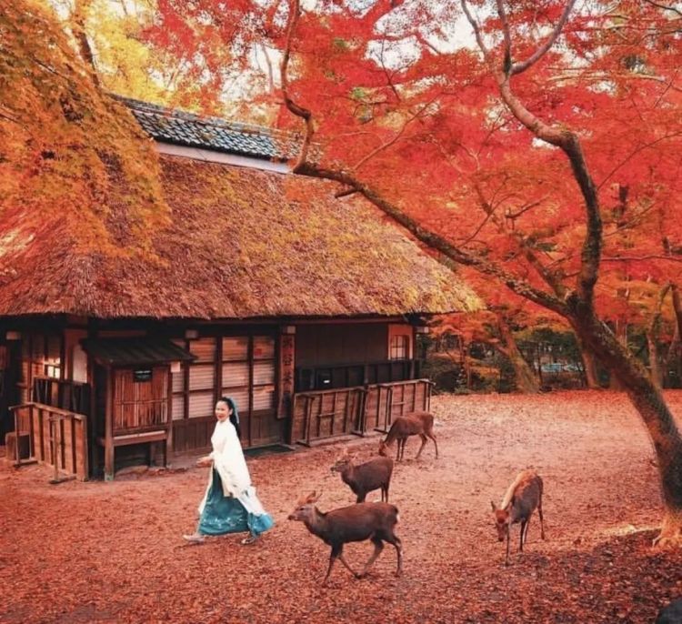 日本旅行神人——5年时间打卡8545处日本景点，google地图都刷爆了……