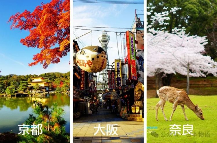 日本旅行神人——5年时间打卡8545处日本景点，google地图都刷爆了……