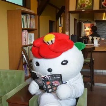 我在日本吃了碗“国产挂面”，日本人管这叫乌冬面？