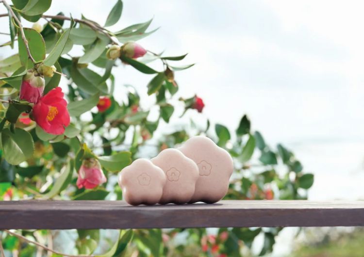 我在日本吃了碗“国产挂面”，日本人管这叫乌冬面？