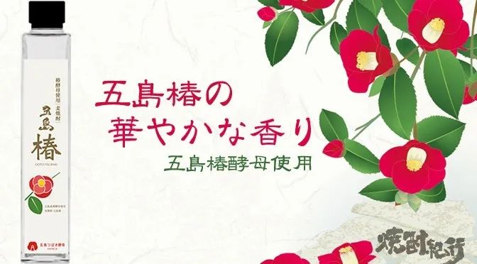 我在日本吃了碗“国产挂面”，日本人管这叫乌冬面？