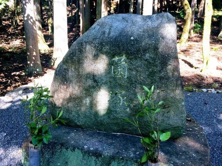 给蟑螂立碑、超度豚骨拉面...?这世上还有什么东西是日本人不能拜的...? 给蟑螂立碑、超度豚骨拉面...?这世上还有什么东西是日本人不能拜的...?