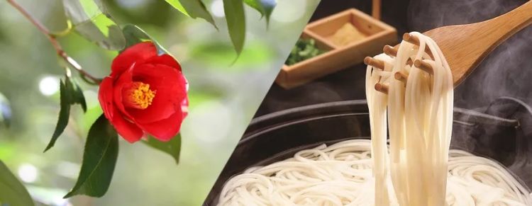 我在日本吃了碗“国产挂面”，日本人管这叫乌冬面？