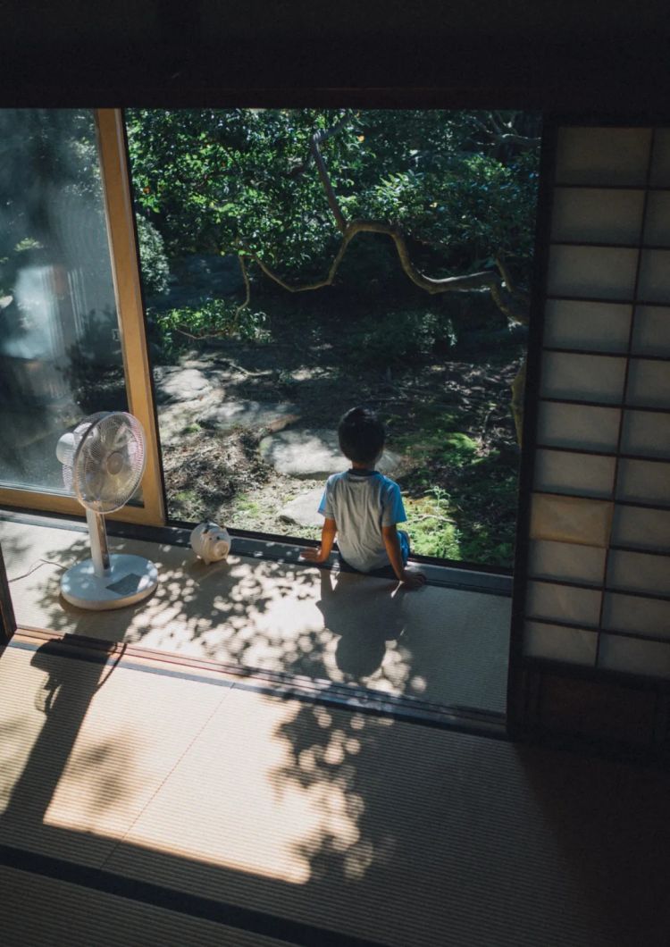 第246期:石破茂将辞职首相?日美达成关税协议;田中圭永野芽郁海外密会?中国恢复449种日本水产进口 | 百通板 第246期:石破茂将辞职首相?日美达成关税协议;田中圭永野芽郁海外密会?中国恢复449种日本水产进口 | 百通板