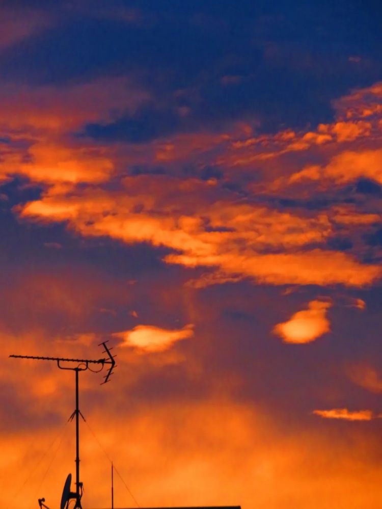 第246期:石破茂将辞职首相?日美达成关税协议;田中圭永野芽郁海外密会?中国恢复449种日本水产进口 | 百通板 第246期:石破茂将辞职首相?日美达成关税协议;田中圭永野芽郁海外密会?中国恢复449种日本水产进口 | 百通板