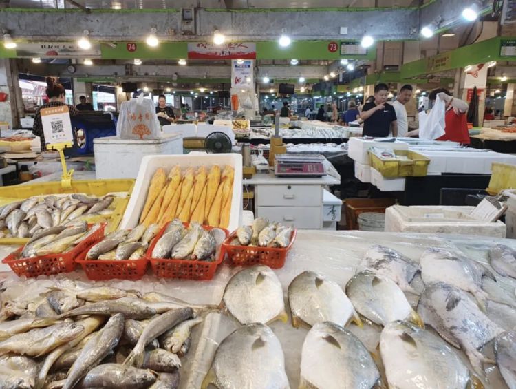 第246期:石破茂将辞职首相?日美达成关税协议;田中圭永野芽郁海外密会?中国恢复449种日本水产进口 | 百通板 第246期:石破茂将辞职首相?日美达成关税协议;田中圭永野芽郁海外密会?中国恢复449种日本水产进口 | 百通板