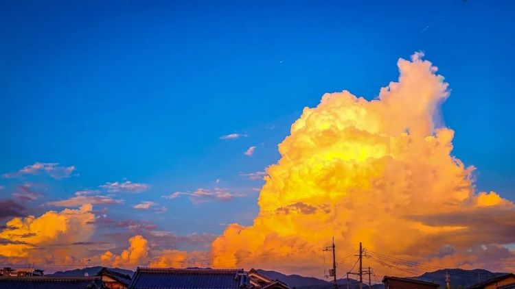 第246期:石破茂将辞职首相?日美达成关税协议;田中圭永野芽郁海外密会?中国恢复449种日本水产进口 | 百通板 第246期:石破茂将辞职首相?日美达成关税协议;田中圭永野芽郁海外密会?中国恢复449种日本水产进口 | 百通板