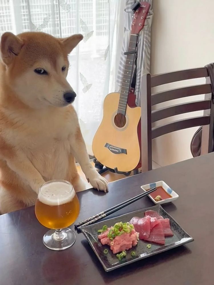 第246期:石破茂将辞职首相?日美达成关税协议;田中圭永野芽郁海外密会?中国恢复449种日本水产进口 | 百通板 第246期:石破茂将辞职首相?日美达成关税协议;田中圭永野芽郁海外密会?中国恢复449种日本水产进口 | 百通板