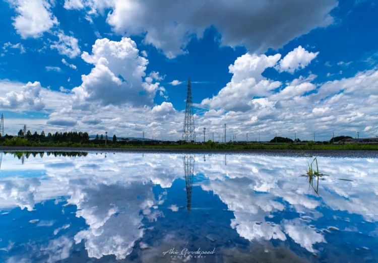 第246期:石破茂将辞职首相?日美达成关税协议;田中圭永野芽郁海外密会?中国恢复449种日本水产进口 | 百通板 第246期:石破茂将辞职首相?日美达成关税协议;田中圭永野芽郁海外密会?中国恢复449种日本水产进口 | 百通板