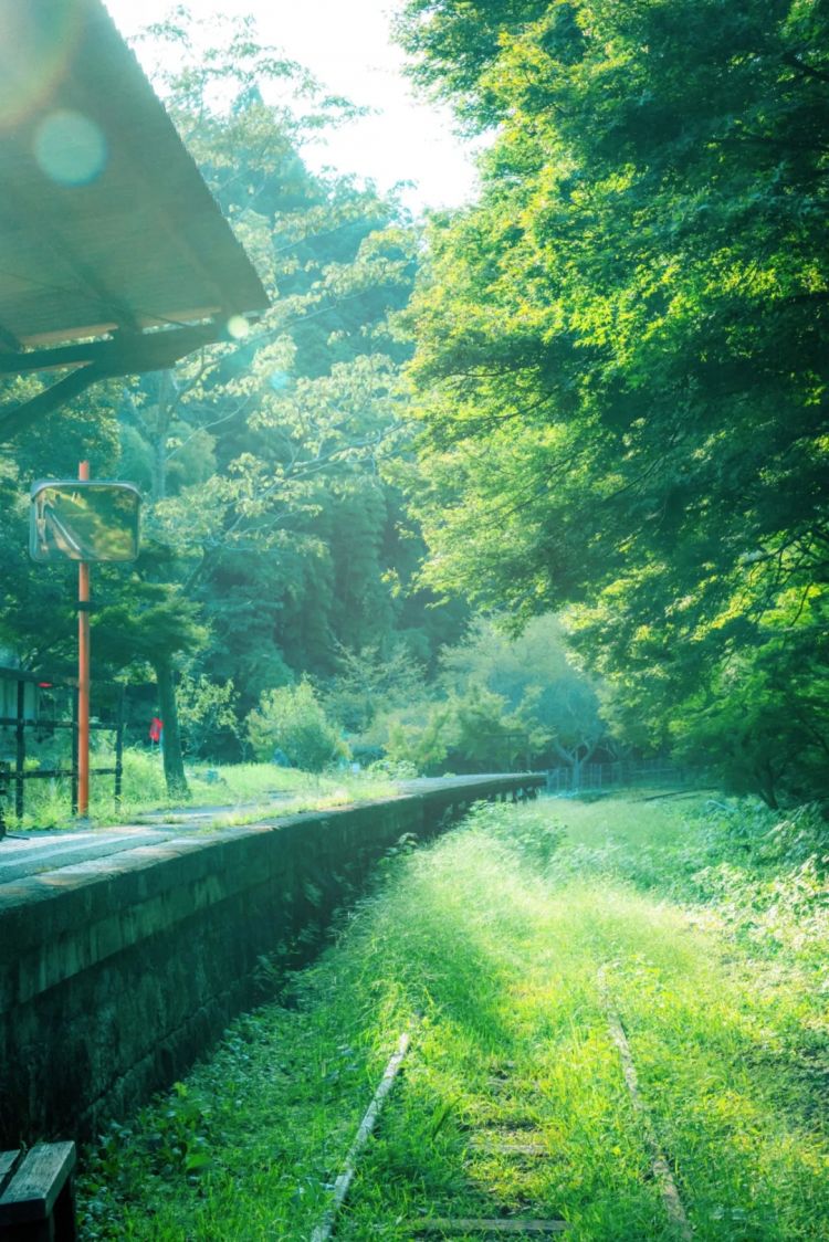 第246期:石破茂将辞职首相?日美达成关税协议;田中圭永野芽郁海外密会?中国恢复449种日本水产进口 | 百通板 第246期:石破茂将辞职首相?日美达成关税协议;田中圭永野芽郁海外密会?中国恢复449种日本水产进口 | 百通板