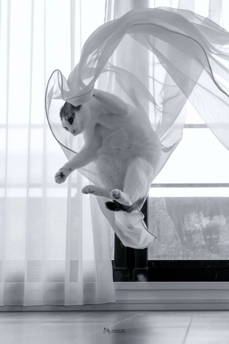 第247期:海啸预警!末日预言又灵验了?杰尼斯恋爱潮 有村架纯高桥海人持续热恋中;日本放宽本科留学? | 百通板 第247期:海啸预警!末日预言又灵验了?杰尼斯恋爱潮 有村架纯高桥海人持续热恋中;日本放宽本科留学? | 百通板