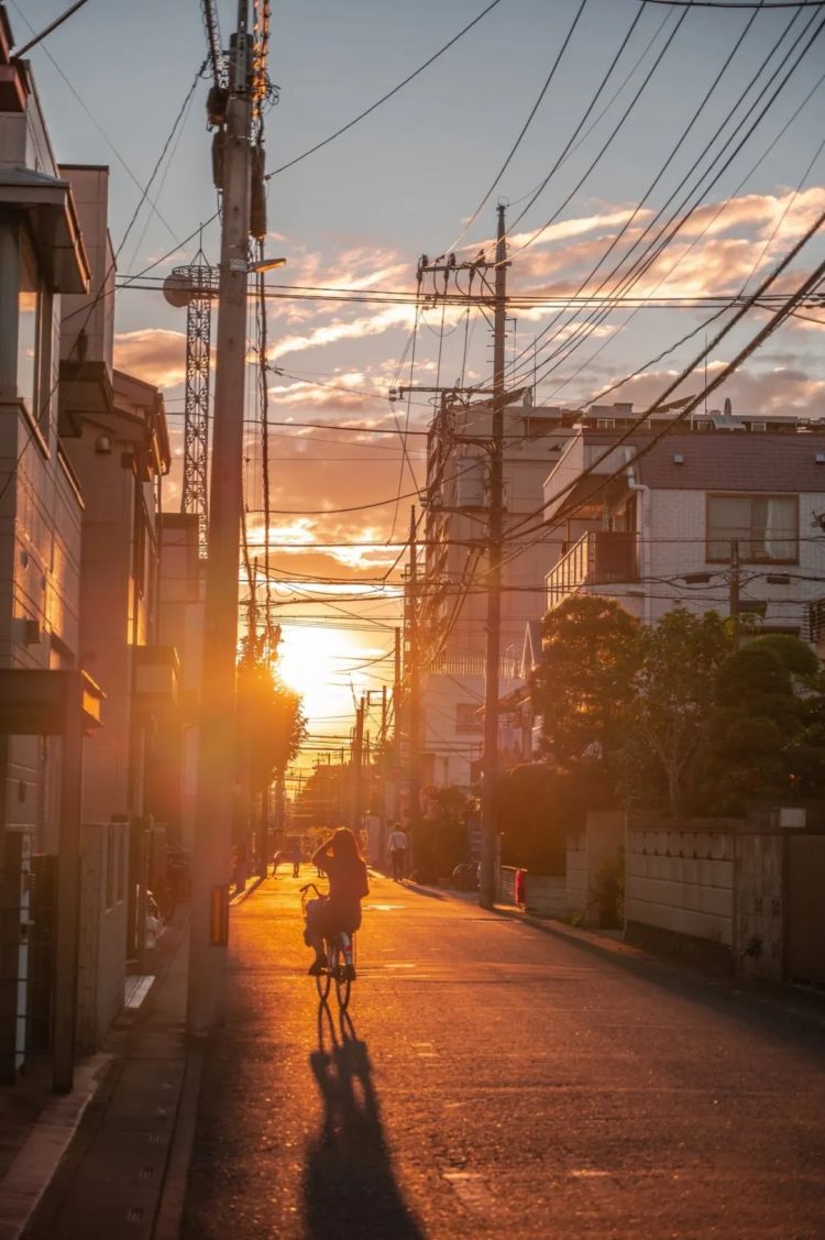 第247期:海啸预警!末日预言又灵验了?杰尼斯恋爱潮 有村架纯高桥海人持续热恋中;日本放宽本科留学? | 百通板 第247期:海啸预警!末日预言又灵验了?杰尼斯恋爱潮 有村架纯高桥海人持续热恋中;日本放宽本科留学? | 百通板