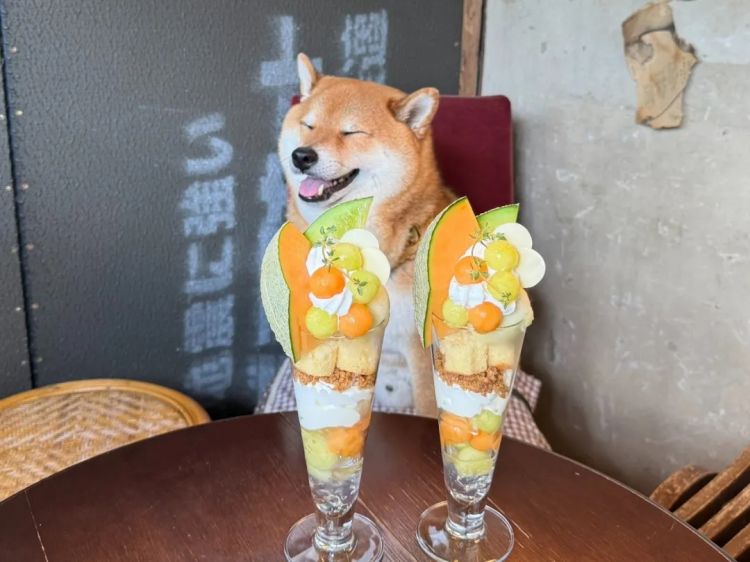 第247期:海啸预警!末日预言又灵验了?杰尼斯恋爱潮 有村架纯高桥海人持续热恋中;日本放宽本科留学? | 百通板 第247期:海啸预警!末日预言又灵验了?杰尼斯恋爱潮 有村架纯高桥海人持续热恋中;日本放宽本科留学? | 百通板