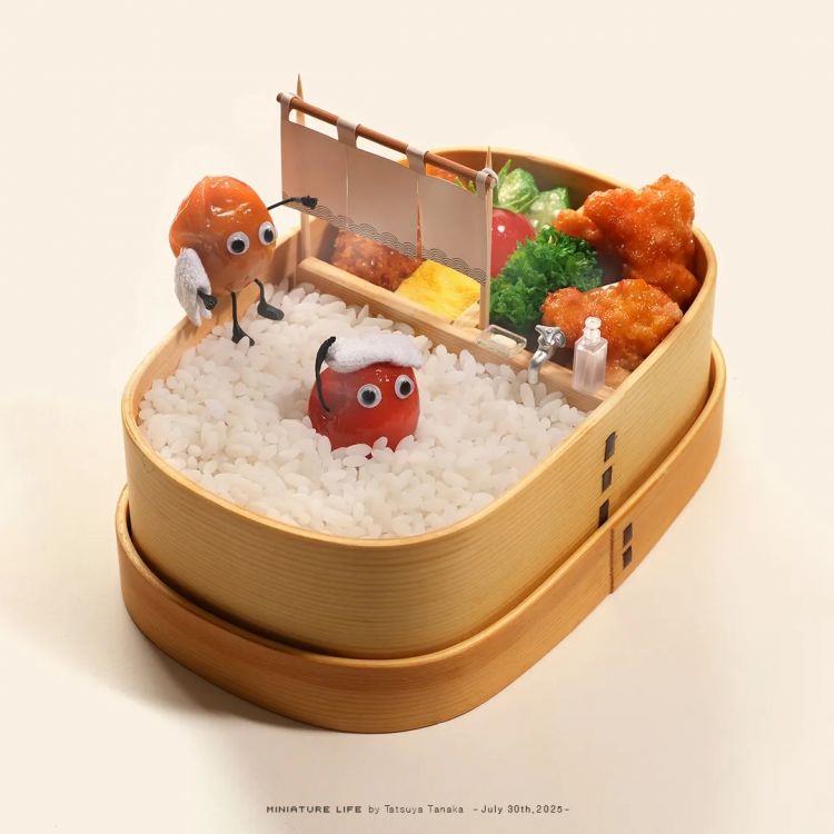 第247期:海啸预警!末日预言又灵验了?杰尼斯恋爱潮 有村架纯高桥海人持续热恋中;日本放宽本科留学? | 百通板 第247期:海啸预警!末日预言又灵验了?杰尼斯恋爱潮 有村架纯高桥海人持续热恋中;日本放宽本科留学? | 百通板