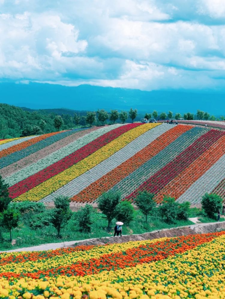 第247期:海啸预警!末日预言又灵验了?杰尼斯恋爱潮 有村架纯高桥海人持续热恋中;日本放宽本科留学? | 百通板 第247期:海啸预警!末日预言又灵验了?杰尼斯恋爱潮 有村架纯高桥海人持续热恋中;日本放宽本科留学? | 百通板