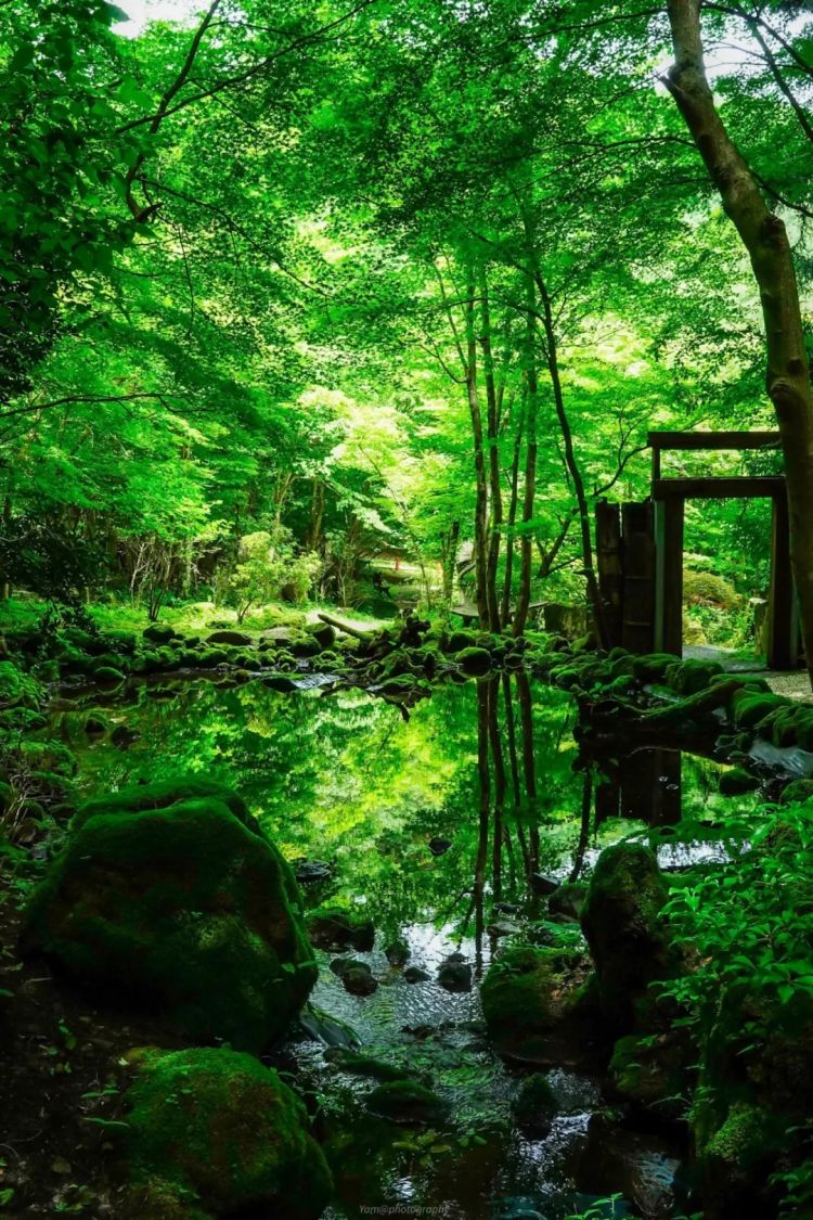 第247期:海啸预警!末日预言又灵验了?杰尼斯恋爱潮 有村架纯高桥海人持续热恋中;日本放宽本科留学? | 百通板 第247期:海啸预警!末日预言又灵验了?杰尼斯恋爱潮 有村架纯高桥海人持续热恋中;日本放宽本科留学? | 百通板