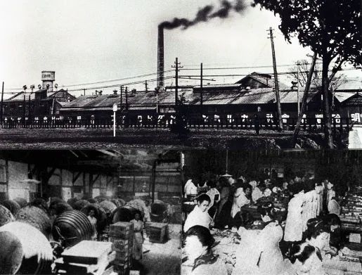 短短百余年，日本是如何把牛奶变得那么好喝的？