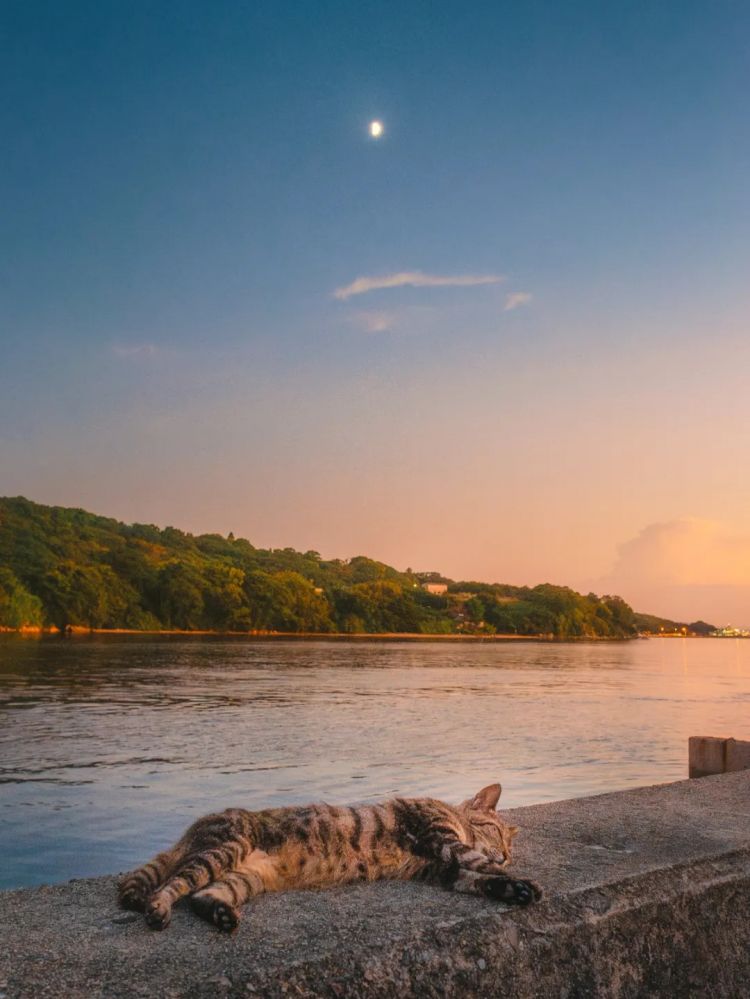 第248期:养老金漏保97万人?玛奇玛岸边be?平野绫官宣离婚;涨薪!最低工资上调 | 百通板 第248期:养老金漏保97万人?玛奇玛岸边be?平野绫官宣离婚;涨薪!最低工资上调 | 百通板