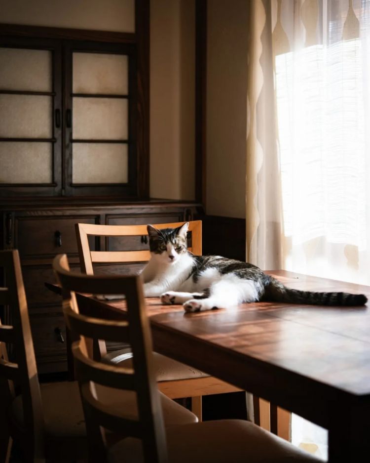 第248期:养老金漏保97万人?玛奇玛岸边be?平野绫官宣离婚;涨薪!最低工资上调 | 百通板 第248期:养老金漏保97万人?玛奇玛岸边be?平野绫官宣离婚;涨薪!最低工资上调 | 百通板