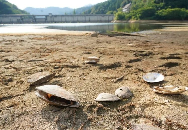 第248期:养老金漏保97万人?玛奇玛岸边be?平野绫官宣离婚;涨薪!最低工资上调 | 百通板 第248期:养老金漏保97万人?玛奇玛岸边be?平野绫官宣离婚;涨薪!最低工资上调 | 百通板