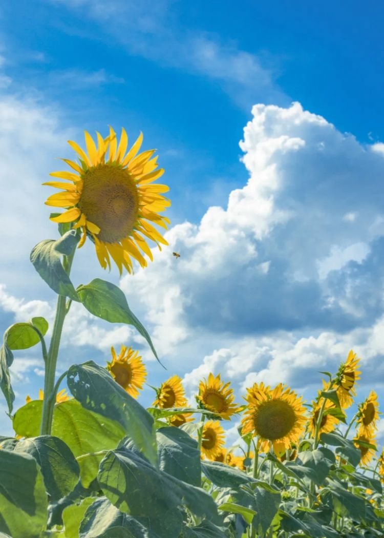 第248期:养老金漏保97万人?玛奇玛岸边be?平野绫官宣离婚;涨薪!最低工资上调 | 百通板 第248期:养老金漏保97万人?玛奇玛岸边be?平野绫官宣离婚;涨薪!最低工资上调 | 百通板