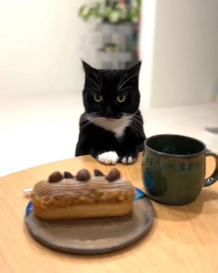 第248期:养老金漏保97万人?玛奇玛岸边be?平野绫官宣离婚;涨薪!最低工资上调 | 百通板 第248期:养老金漏保97万人?玛奇玛岸边be?平野绫官宣离婚;涨薪!最低工资上调 | 百通板