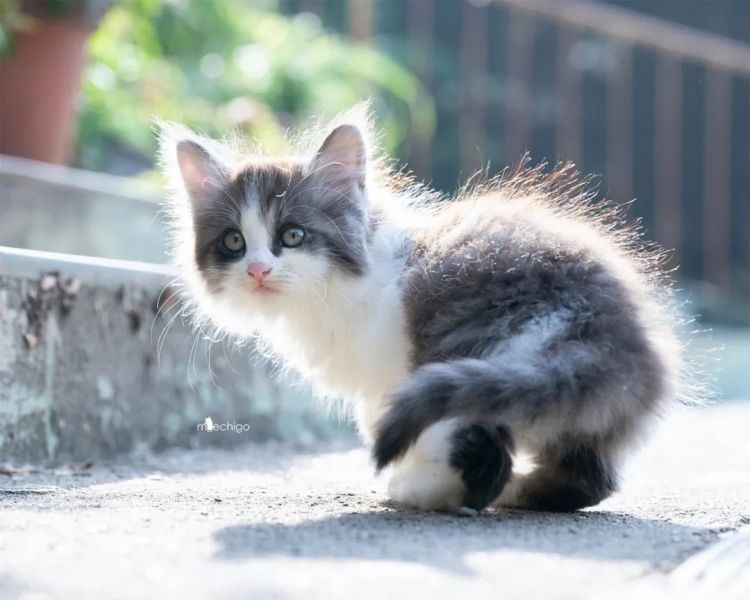 第248期:养老金漏保97万人?玛奇玛岸边be?平野绫官宣离婚;涨薪!最低工资上调 | 百通板 第248期:养老金漏保97万人?玛奇玛岸边be?平野绫官宣离婚;涨薪!最低工资上调 | 百通板