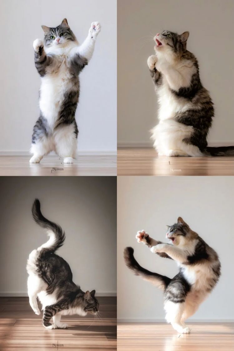 第248期:养老金漏保97万人?玛奇玛岸边be?平野绫官宣离婚;涨薪!最低工资上调 | 百通板 第248期:养老金漏保97万人?玛奇玛岸边be?平野绫官宣离婚;涨薪!最低工资上调 | 百通板