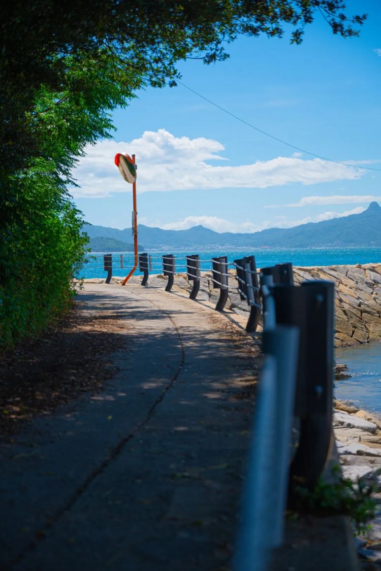 第249期:日本人口将不足1.2亿?IVE概念短片日本争议?日本麦当劳宝可梦联名乱象;张本智和夺冠 | 百通板 第249期:日本人口将不足1.2亿?IVE概念短片日本争议?日本麦当劳宝可梦联名乱象;张本智和夺冠 | 百通板