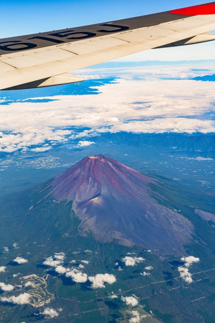 第249期:日本人口将不足1.2亿?IVE概念短片日本争议?日本麦当劳宝可梦联名乱象;张本智和夺冠 | 百通板 第249期:日本人口将不足1.2亿?IVE概念短片日本争议?日本麦当劳宝可梦联名乱象;张本智和夺冠 | 百通板