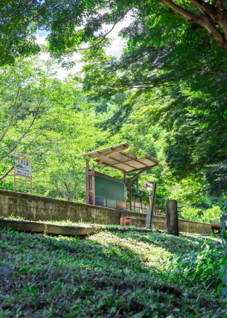 第249期:日本人口将不足1.2亿?IVE概念短片日本争议?日本麦当劳宝可梦联名乱象;张本智和夺冠 | 百通板 第249期:日本人口将不足1.2亿?IVE概念短片日本争议?日本麦当劳宝可梦联名乱象;张本智和夺冠 | 百通板