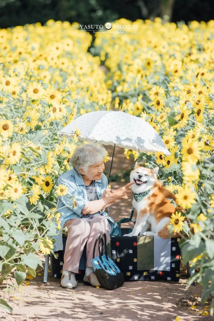 第249期:日本人口将不足1.2亿?IVE概念短片日本争议?日本麦当劳宝可梦联名乱象;张本智和夺冠 | 百通板 第249期:日本人口将不足1.2亿?IVE概念短片日本争议?日本麦当劳宝可梦联名乱象;张本智和夺冠 | 百通板