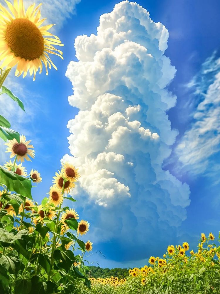 第249期:日本人口将不足1.2亿?IVE概念短片日本争议?日本麦当劳宝可梦联名乱象;张本智和夺冠 | 百通板 第249期:日本人口将不足1.2亿?IVE概念短片日本争议?日本麦当劳宝可梦联名乱象;张本智和夺冠 | 百通板