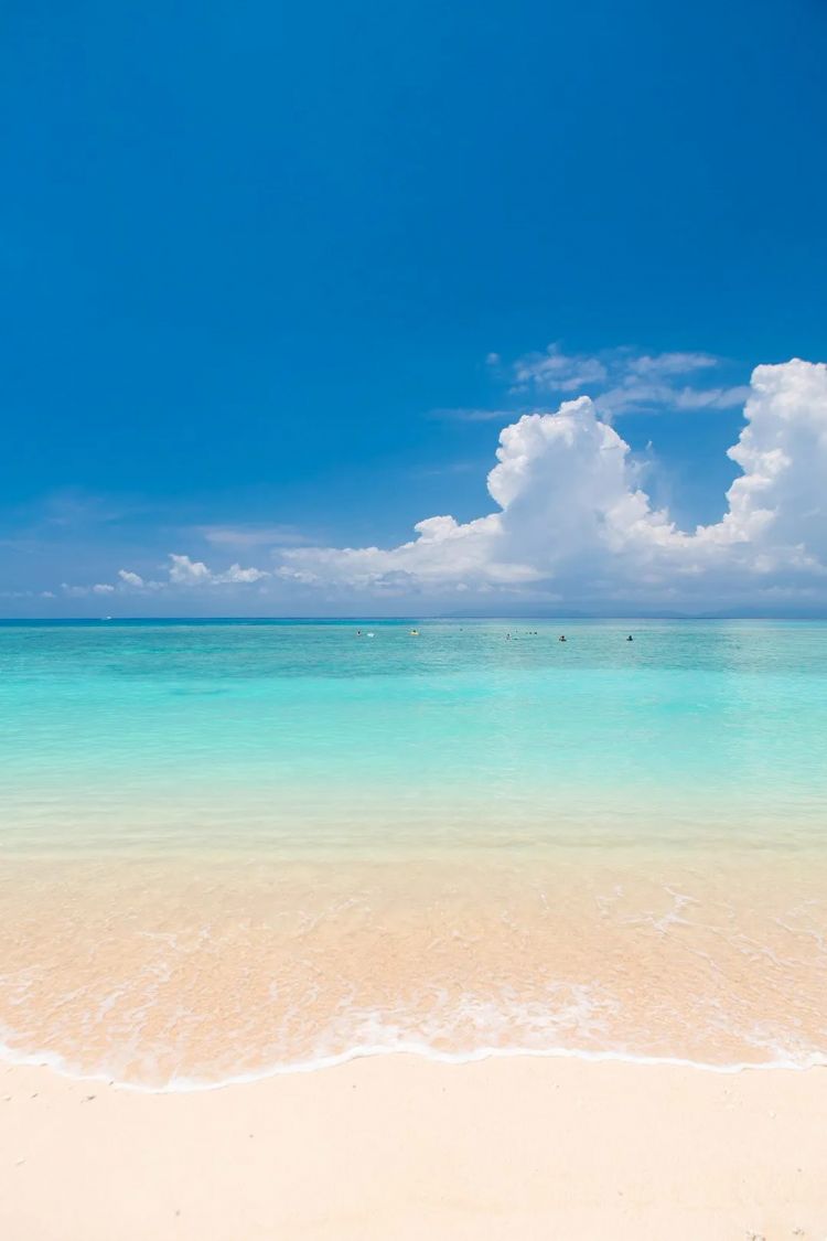 第249期:日本人口将不足1.2亿?IVE概念短片日本争议?日本麦当劳宝可梦联名乱象;张本智和夺冠 | 百通板 第249期:日本人口将不足1.2亿?IVE概念短片日本争议?日本麦当劳宝可梦联名乱象;张本智和夺冠 | 百通板