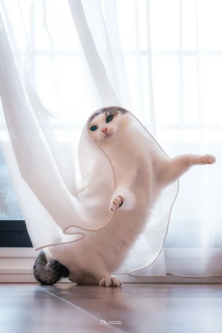 第249期:日本人口将不足1.2亿?IVE概念短片日本争议?日本麦当劳宝可梦联名乱象;张本智和夺冠 | 百通板 第249期:日本人口将不足1.2亿?IVE概念短片日本争议?日本麦当劳宝可梦联名乱象;张本智和夺冠 | 百通板