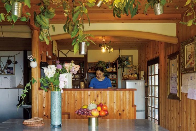 一个人的晚年更幸福？日本女性的独居生活，颠覆你对老年的想象