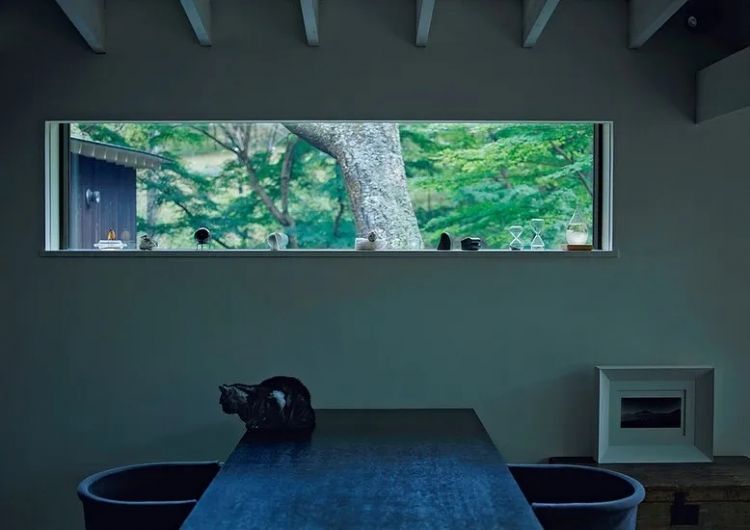 一个人的晚年更幸福？日本女性的独居生活，颠覆你对老年的想象