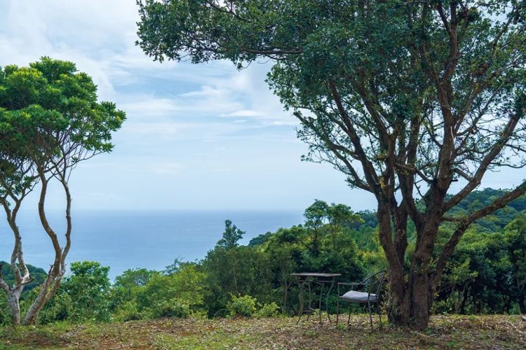 一个人的晚年更幸福？日本女性的独居生活，颠覆你对老年的想象