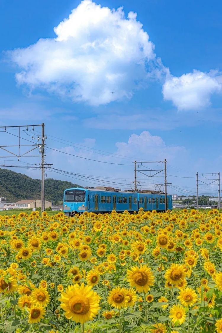 第250期:福山雅治涉性丑闻?日本青少年药物成瘾泛滥;LISA与坂口健太郎亲密照争议?前田敦子回归AKB?| 百通板 第250期:福山雅治涉性丑闻?日本青少年药物成瘾泛滥;LISA与坂口健太郎亲密照争议?前田敦子回归AKB?| 百通板