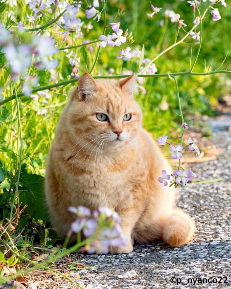 第250期:福山雅治涉性丑闻?日本青少年药物成瘾泛滥;LISA与坂口健太郎亲密照争议?前田敦子回归AKB?| 百通板 第250期:福山雅治涉性丑闻?日本青少年药物成瘾泛滥;LISA与坂口健太郎亲密照争议?前田敦子回归AKB?| 百通板