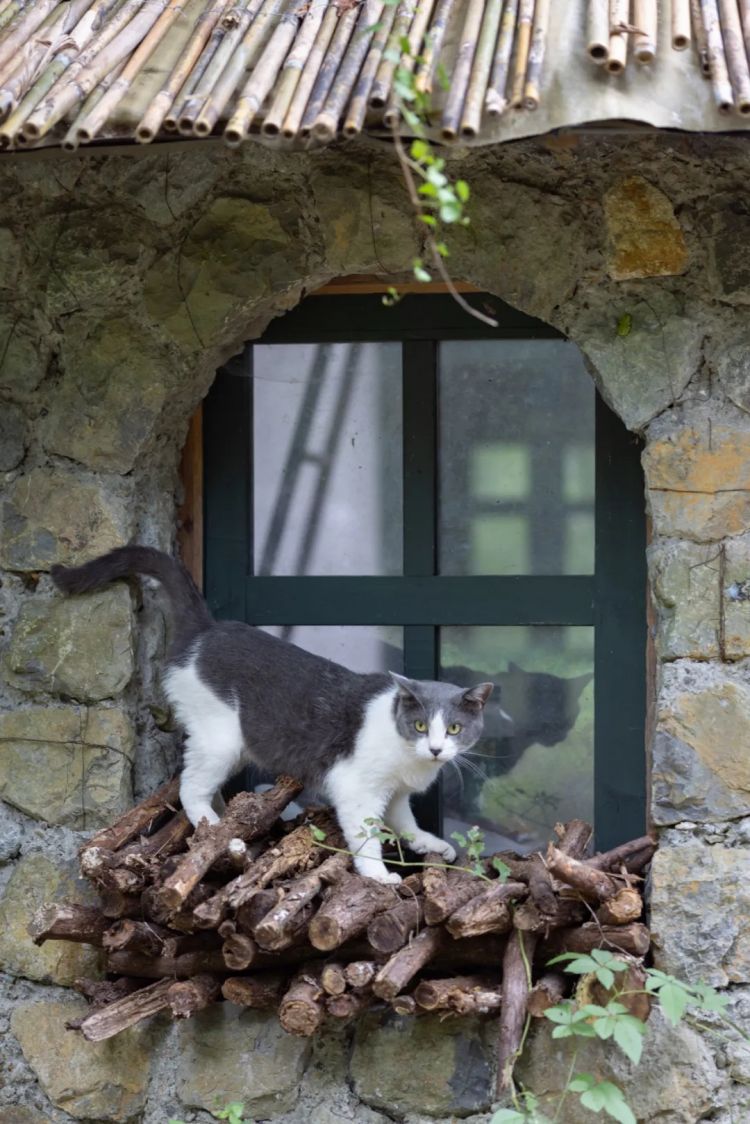 第250期:福山雅治涉性丑闻?日本青少年药物成瘾泛滥;LISA与坂口健太郎亲密照争议?前田敦子回归AKB?| 百通板 第250期:福山雅治涉性丑闻?日本青少年药物成瘾泛滥;LISA与坂口健太郎亲密照争议?前田敦子回归AKB?| 百通板